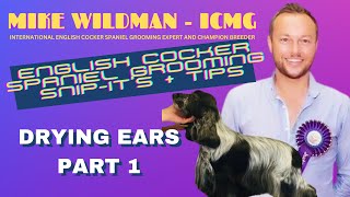 ENGLISH COCKER SPANIEL DAILY SNIPIT with MIKE WILDMAN  Drying Ears Part 1