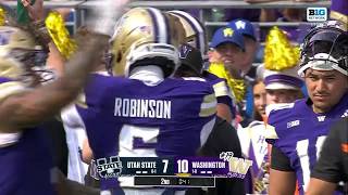 Details Dylan Robinson Picks Off the Utah State Pass | Washington Football Guide