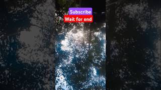 Dil mein Mohabbat ka#viral video#shortvideo #❣️❣️🌹#trending#ramtemple