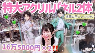 Extra large acrylic panel] I received two Levi figures, each