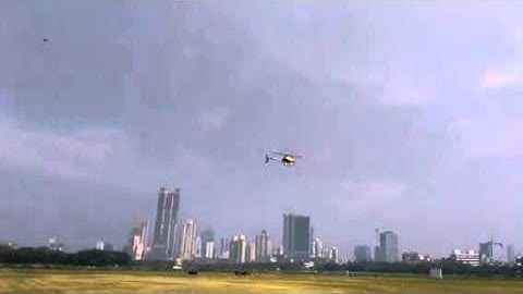 RC TREX 450 DFC HELICOPTER JIM DESAI