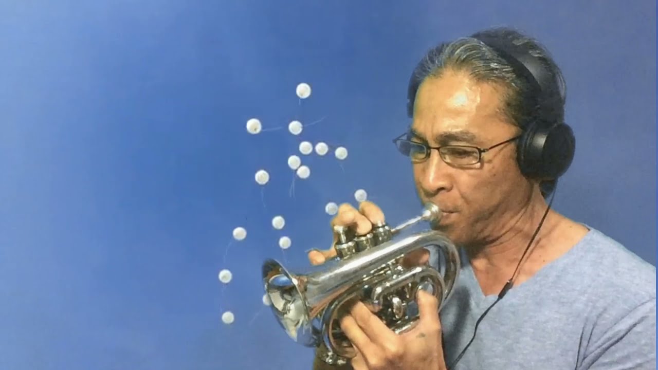 Lobo (Balloon) - Jim Mar Cson POCKET TRUMPET