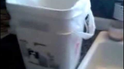 Easy Easy Razor Clam Cleaning Part 1