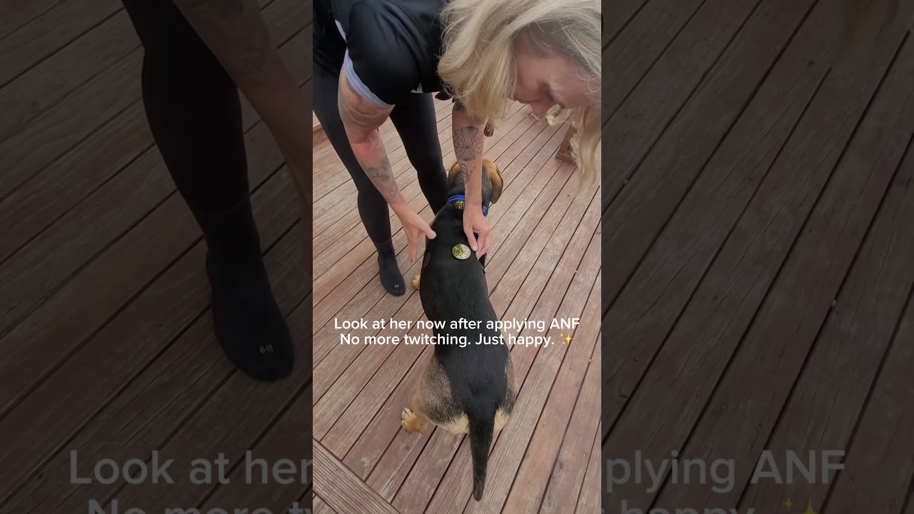 Instant Relief for Dog Muscle Spasms & Inflamed Nerve 