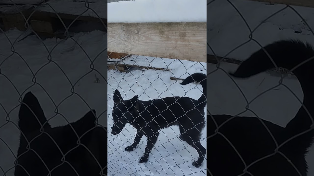 Прогулка это здорово