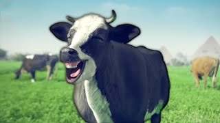 FUNNY COW DANCE FUNNY - Coffin Dance Song (COVER)