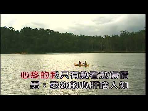 愛你的心肝啥人知~林垂立&張秀卿~合Gm調~伴奏~導唱~金嗓(甲)
