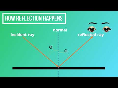 Specular or Diffuse? The Law of Reflection