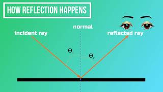 Specular or Diffuse? The Law of Reflection