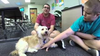 Therapy Dog Helps Students Read