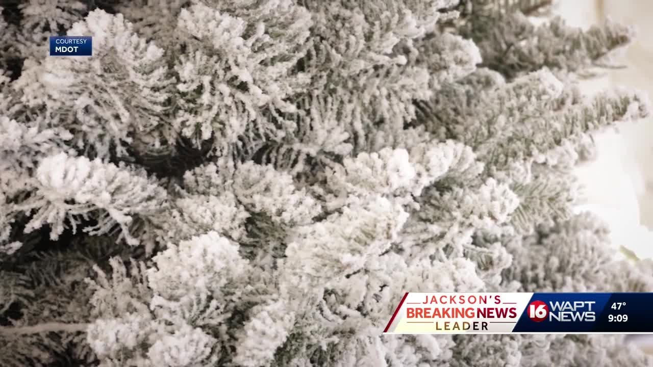 MDOT offers transportation tips to help get your holiday tree home safely