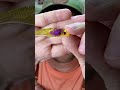 Hand pour injection #fish #fishing #bass #crappie