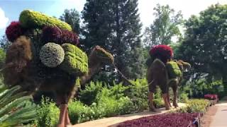 Imaginary World at Atlanta Botanical Gardens with Katrina Julia