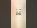 Les bonnes - Good People, Small Gestures - French translation