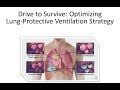 Drive to Survive: Optimizing lung protective ventilation strategy -- BAVLS