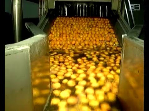 არასტანდარტულ მანდარინზე დღეისათვის 6 საწარმოზე 400 ათასი ლარის სუბსიდიაა გაცემული