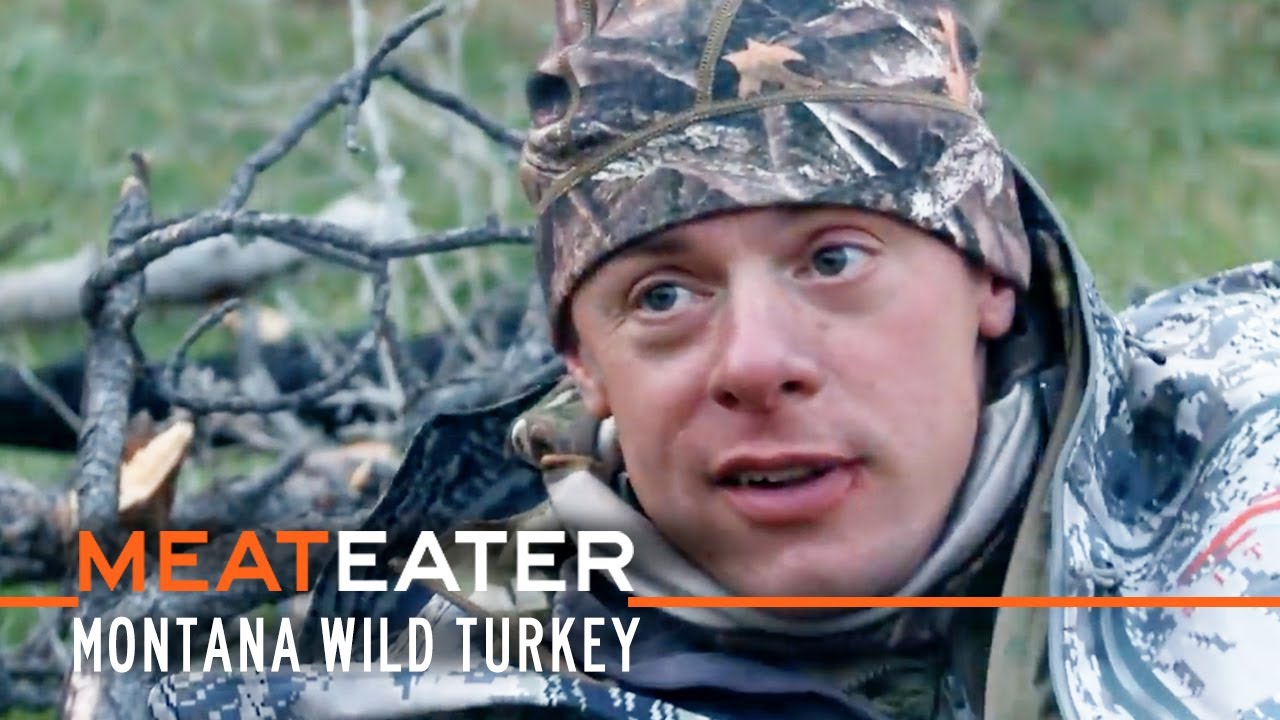 Big Sky, Bigger Birds Montana Wild Turkey S2E01 MeatEater YouTube