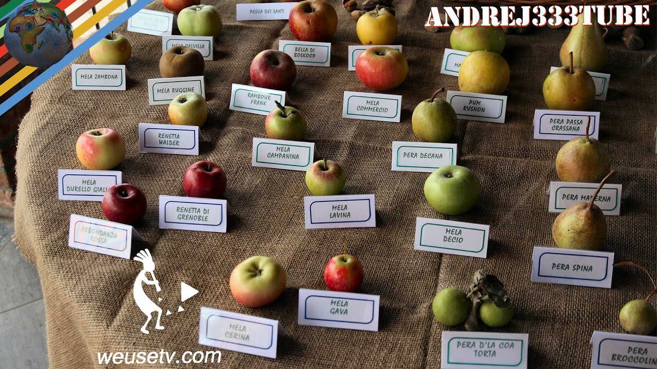 I meli autoctoni di Ernesto (Chianni 2014) (varietà di antiche cultivar di mele)