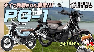 『ヤマハのタイ・テイバーモデルに付いてたPU』 mqdefault.jpg