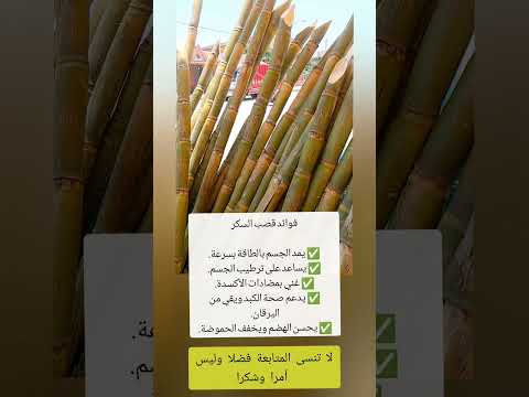 فوائد عصير قصب سكر صحة وجمال غذاء صحي نصائح صحية قصب سكر