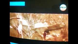 IPTV by GIGABYTE 1024 (Project "GIGABYTE HDVS") screenshot 4