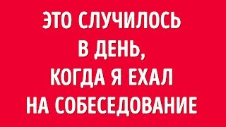 5 коротких историй, которые доказывают, что наш мир — хорошее место 5 коротких историй, которые доказывают, что наш мир — хорошее место