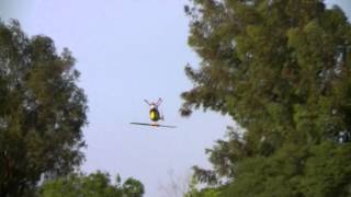 T rex 500 rc helicopter back in action rainbows and inverted hover orientation,