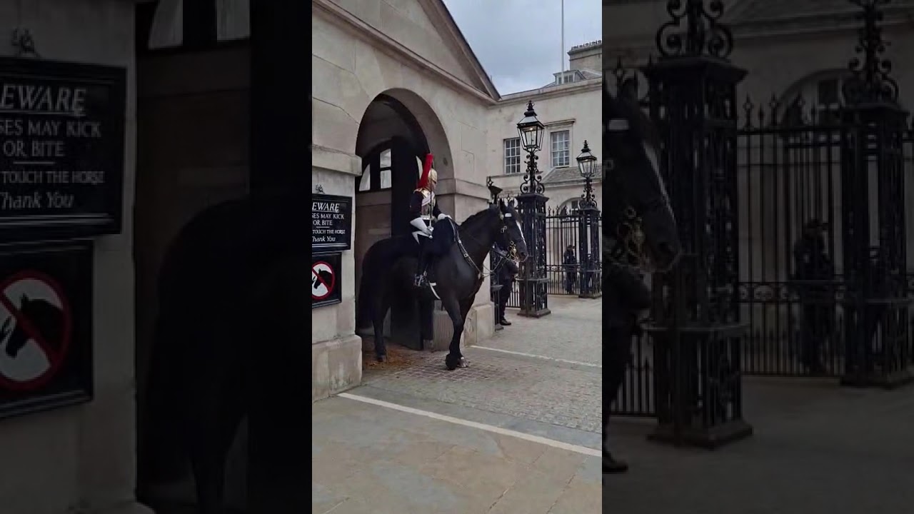 What SUPER STRENGTH do ROYAL HORSES have?