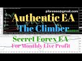 Best Free Forex EA 2019 (New) - YouTube
