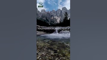 سورة النور • مدنية • بصوت أبو بكر الشاطري | عدد الآيات: 64 #قرآن #Quran #تلاوة #قرآن_كريم #النور