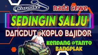 KARAOKE SEDINGIN SALJU KOPLO BAJIDOR