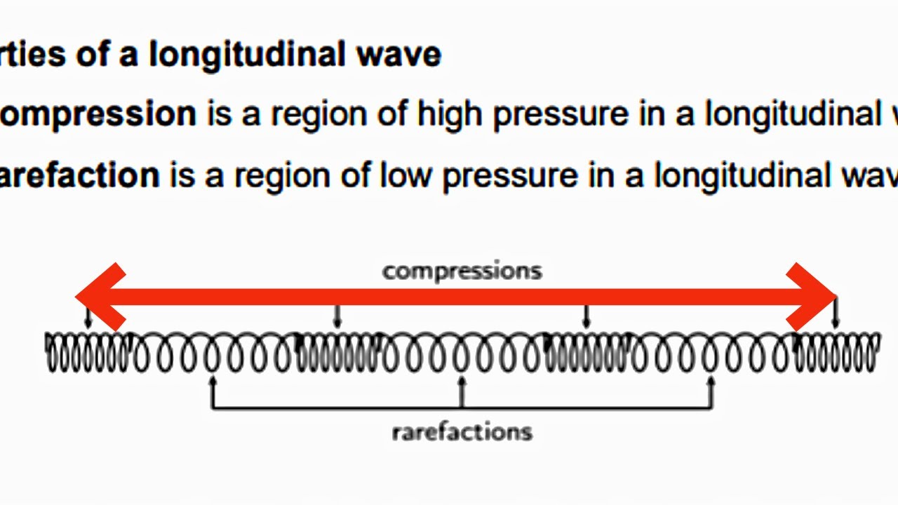 Longitudinal Waves (Sound Waves & Echoes) Grade 10 Exam Question - YouTube