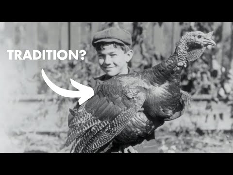 The Story of the Thanksgiving Turkey