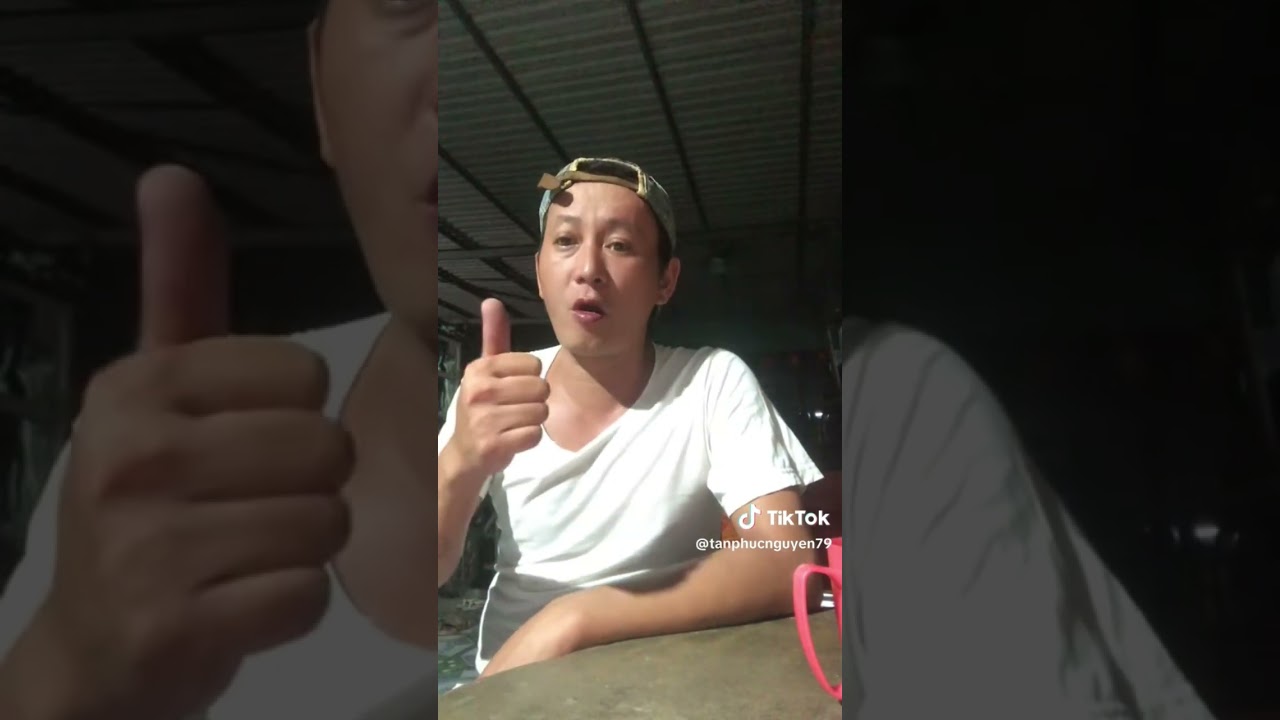 Tí Mèo Kể Chuyện #timeo #haihuoc #minhheo #funny