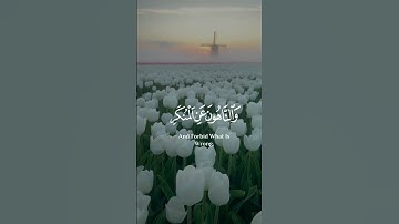 سورة / التوبة 📖 الآية / ١١٢ ♡ القارئ #اسلام_صبحي #تلاوات_خاشعة #قرآن_كريم #الله #إستغفار