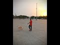 Tiger jaan h sbki😍♥️ #shortsfeed #shorts #viral #funny #trending #foryou #love #pyar #shortvideo