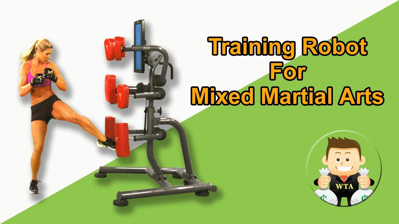 Training robot for Mixed Martial Arts YouTube