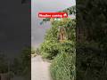 Weather Coming In Bihar | Bihar Weather Video| Bihar Rainfall Video| #ytshorts #ytshortsindia