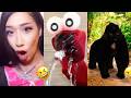 .Nonomen funny video😂😂😂 BEST Nonomen Funny Try Not To Laugh Challenge Compilation 🤣