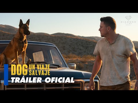 Dog. Un viaje salvaje - Tráiler oficial en español