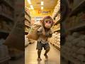 Poor monkey baby school sad story | ai video kaise banaye #aivideo | shorts par views kaise badhaye