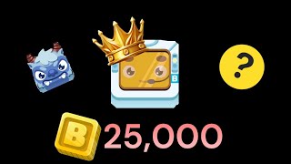 I SPENT 25,000 TOKENS IN BLOOKET Net Worth