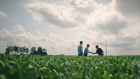 Shaping tomorrow: a journey into the future of sustainable chemicals