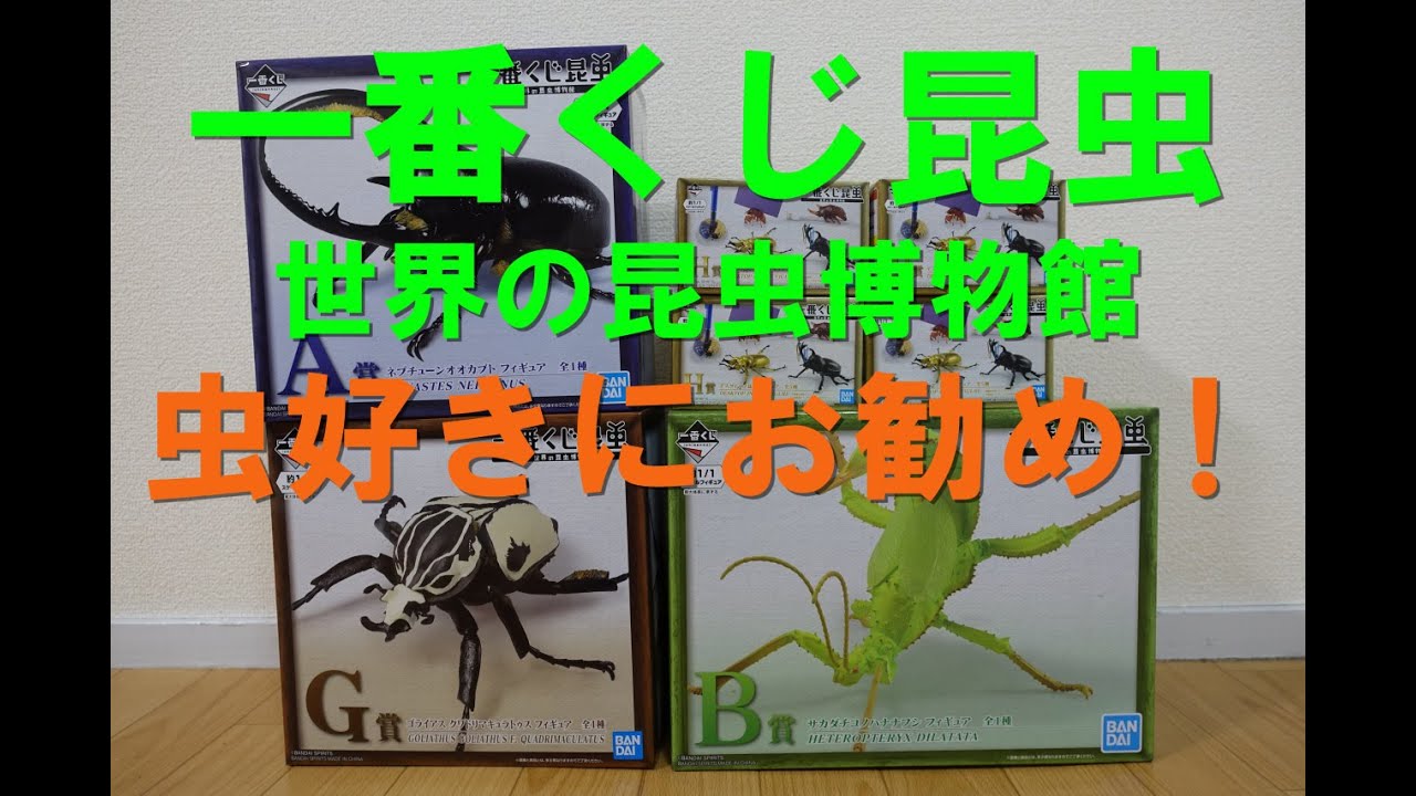 一番くじ】一番くじ昆虫 世界の昆虫博物館 フィギュア開封レビュー