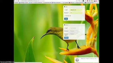 STRIPE integration by 7WebPages