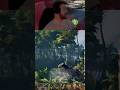 That boar was savage! #shorts #Windrose #Pirate #survival #gaming