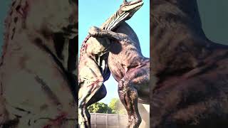 Distortus Rex vs Carnotaurus 🔥🚨‼️🦖🚨Jurassic World Evolution #dinosaur #xbox