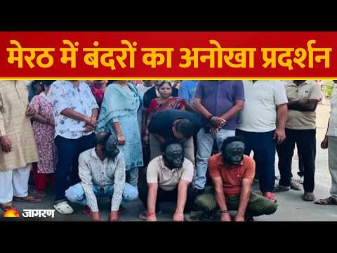 Meerut News: बंदरों के आतंक से परेशान होकर चेहरे पर लगाया Monkey Mask, कलेक्ट्रेट में अनोखा
