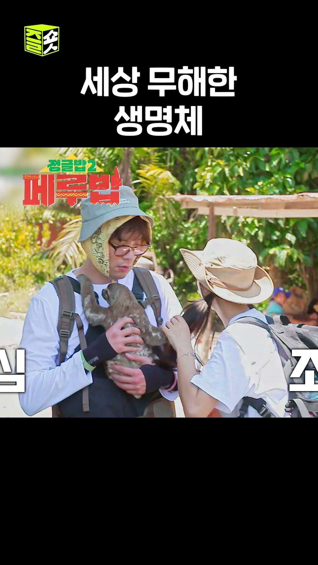 귀염 뽀짝한 나무늘보 #정글밥2페루밥 #JungleBoB #SBSenter