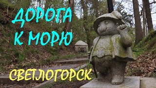 видео: СВЕТЛОГОРСК _  Выход к морю _ Лучшие места для фотосессий _ Апрель 2024 картинка: СВЕТЛОГОРСК _  Выход к морю _ Лучшие места для фотосессий _ Апрель 2024